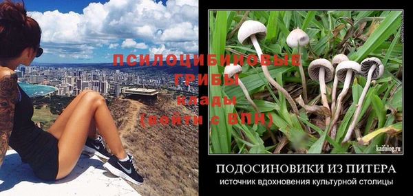 тгк Нея