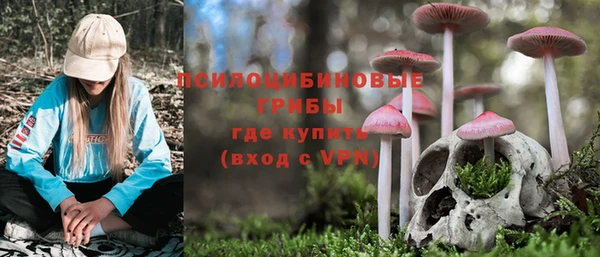 кристаллы Алзамай