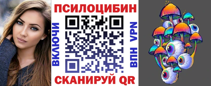 наркотики  Новоузенск  Псилоцибиновые грибы Psilocybe 