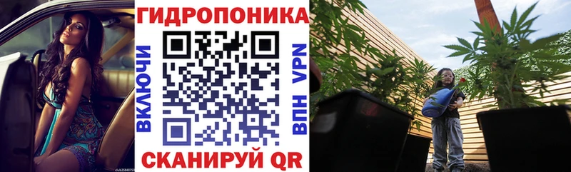 цена наркотик  blacksprut tor  Каннабис LSD WEED  Новоузенск 